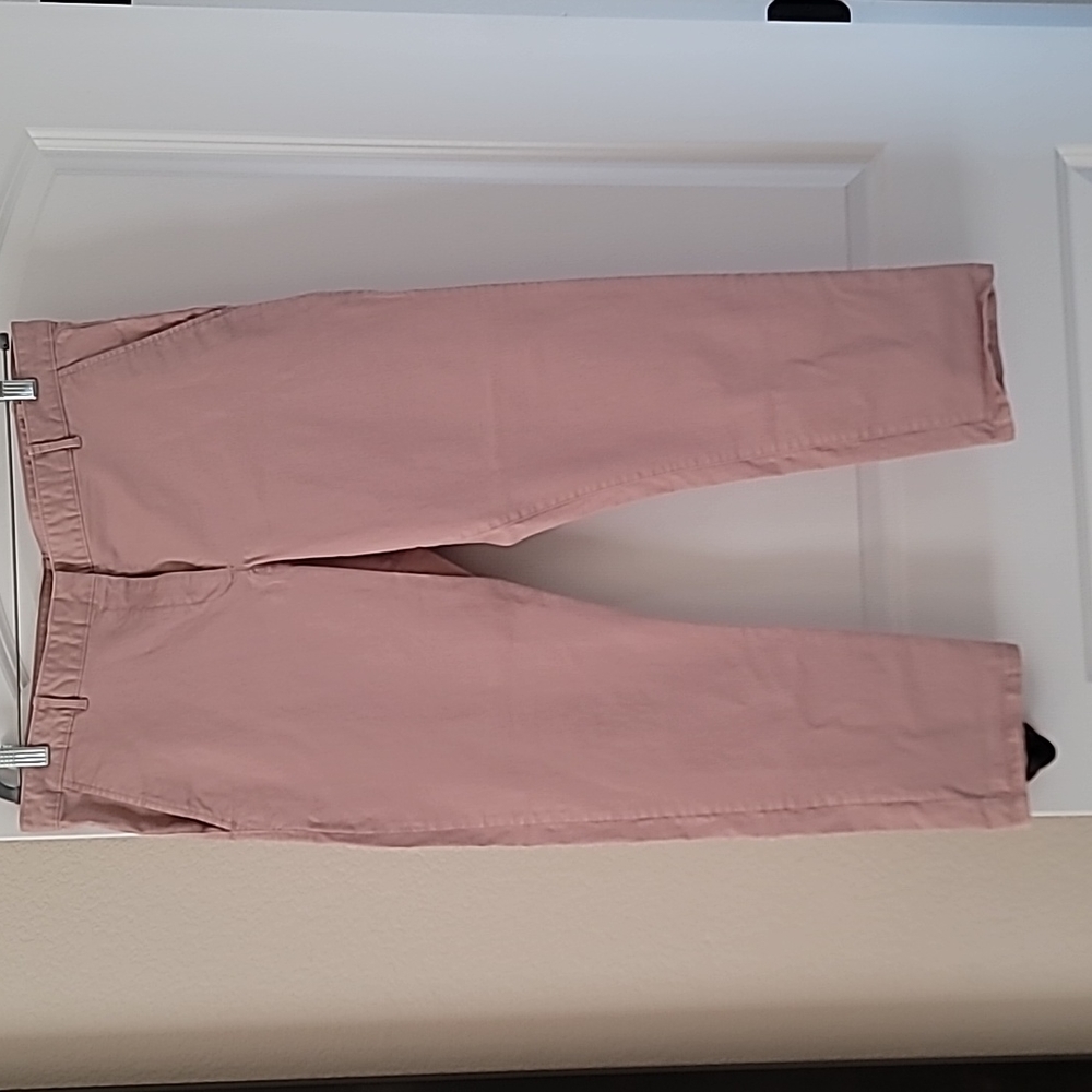 Gap Baby Pink Khakis - Skinny 16